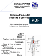 imunidadenasmucosasesecrees-100521063101-phpapp01