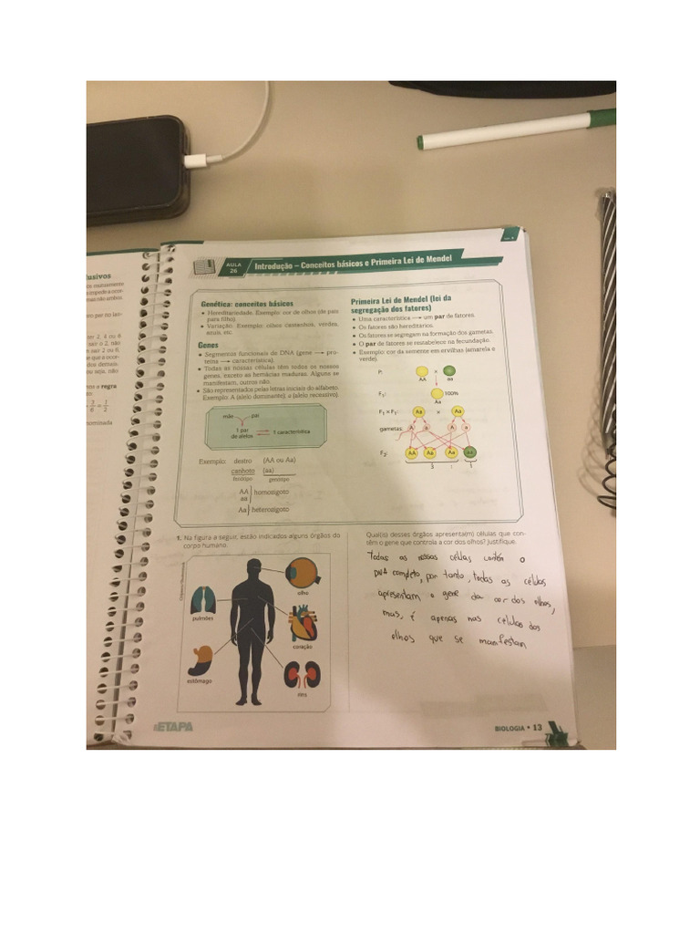 Simu | PDF