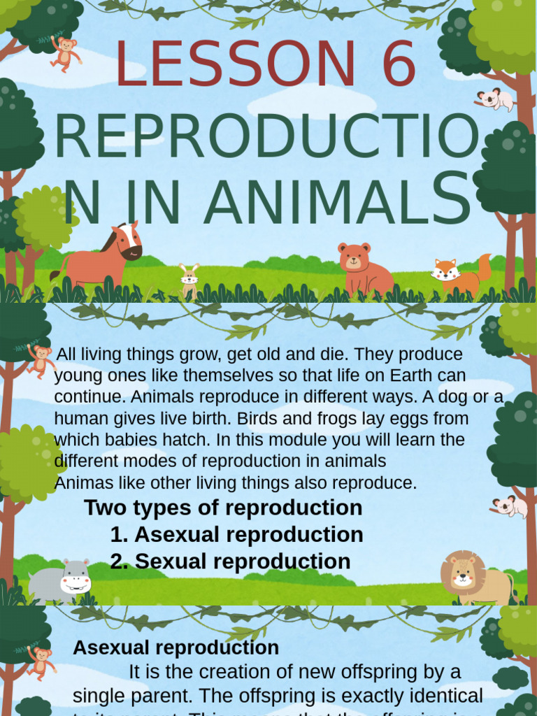 Animal Reproduction Methods Explained | PDF | Reproduction | Egg