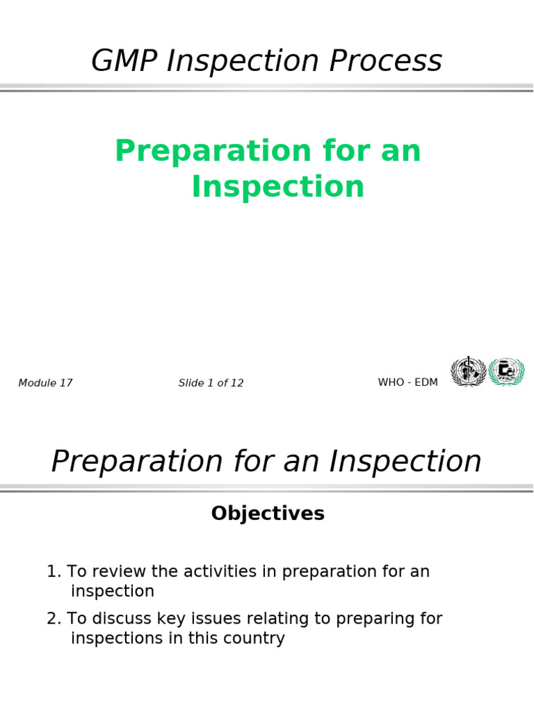 GMP Inspection Preparation Guide | PDF