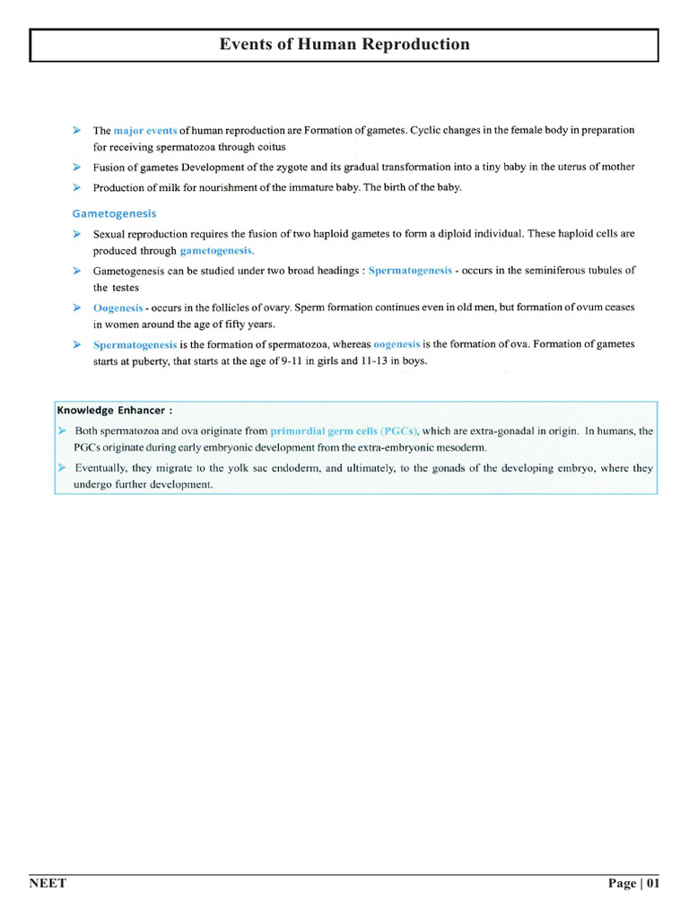 Events of Human Reproduction | PDF