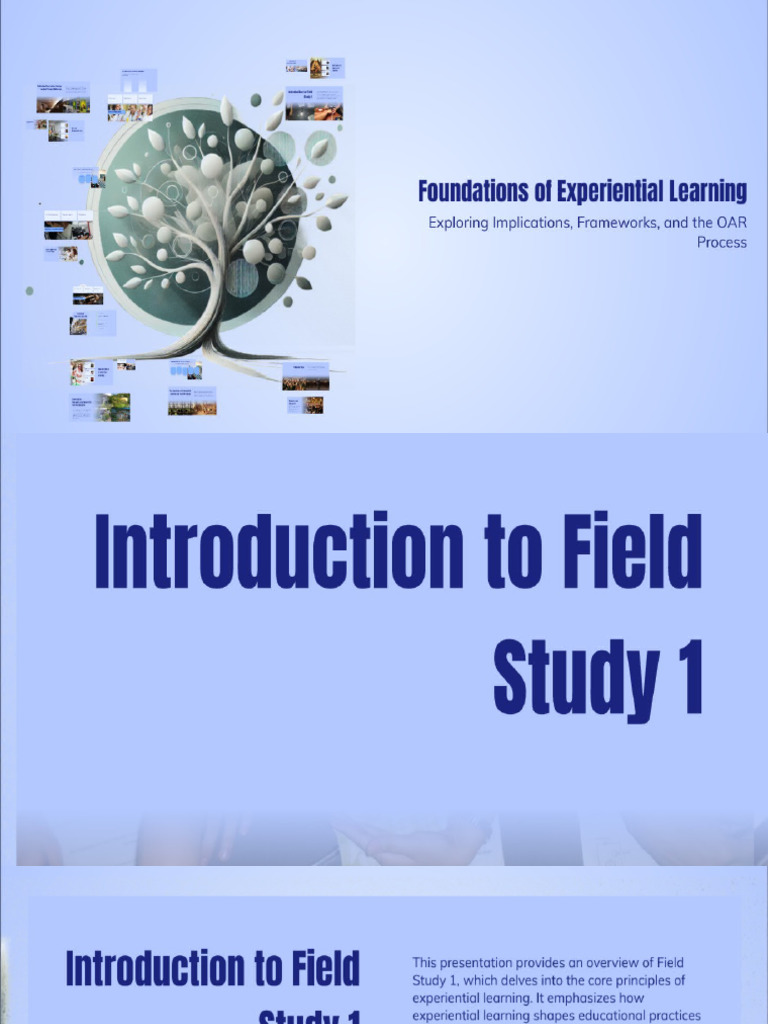 Module 1 Primer | PDF