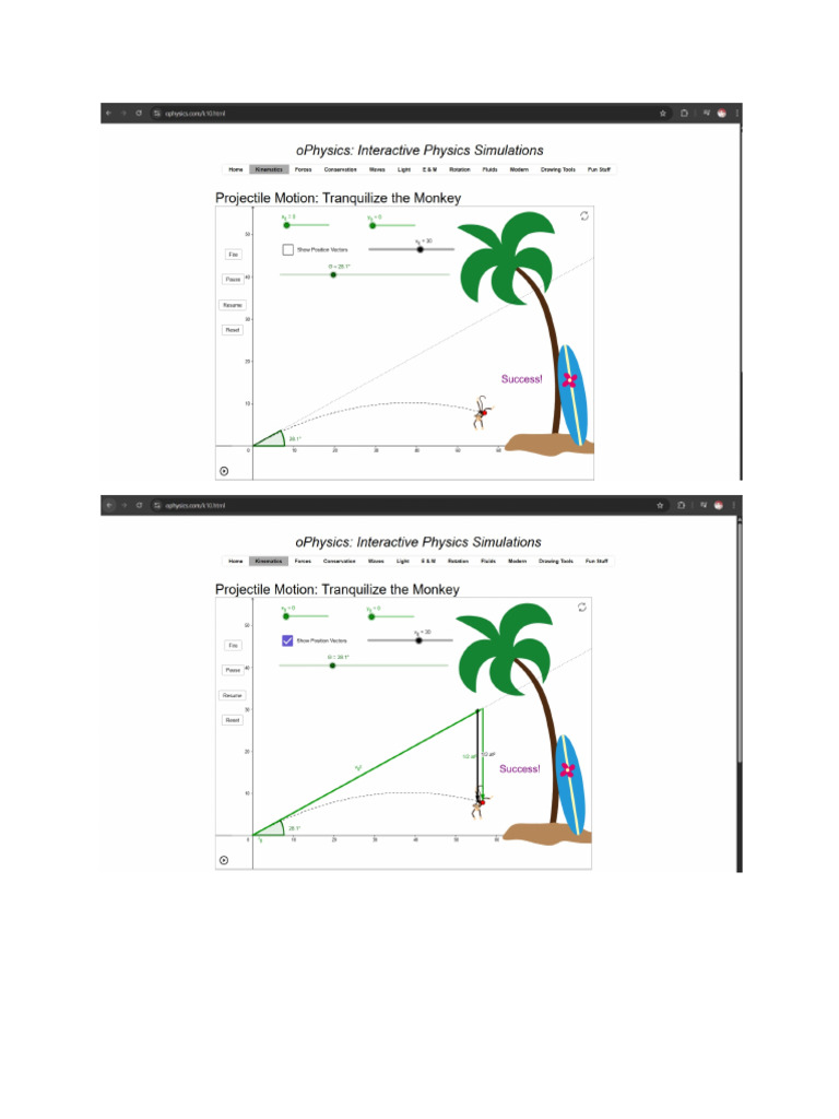 Understanding Projectile Motion Dynamics | PDF