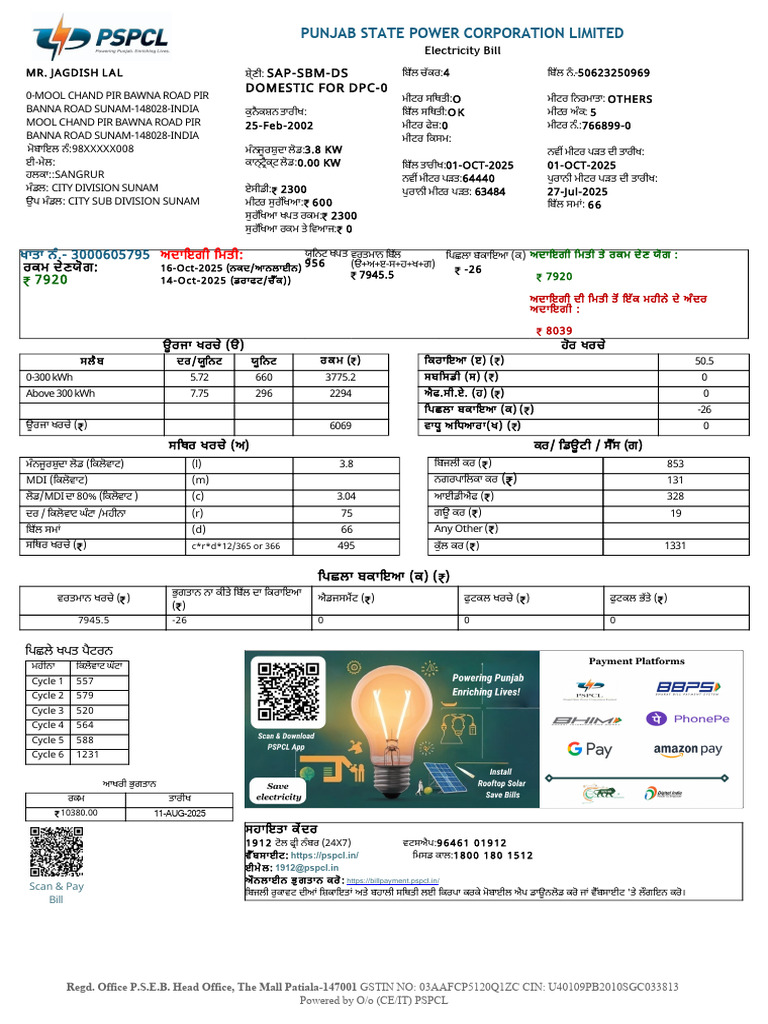 PSPCL BILL 3000605795 Pa | PDF