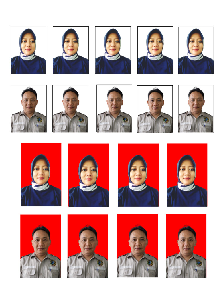 Pas Photo | PDF