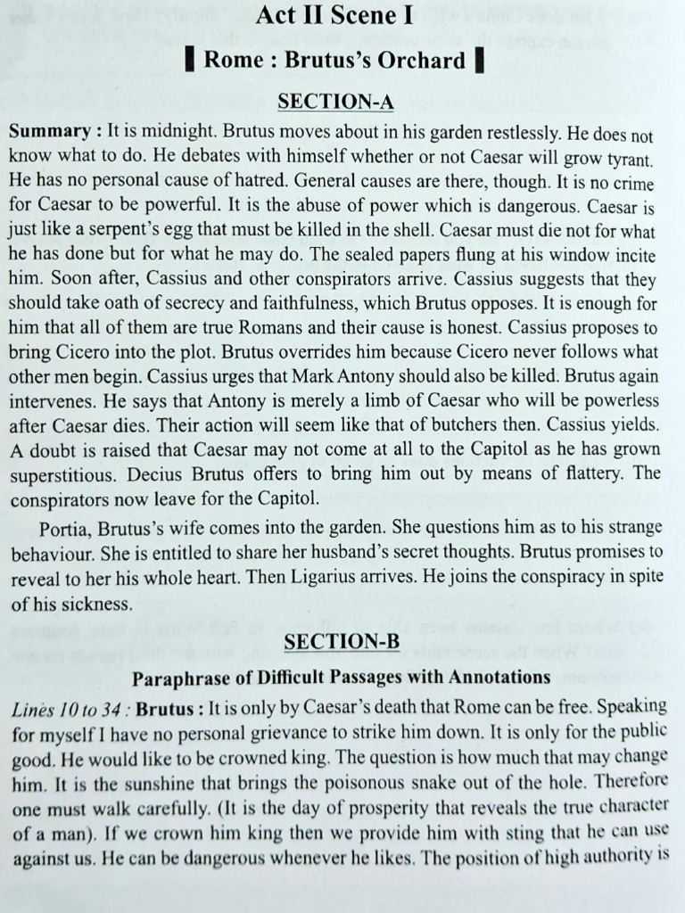 JC - Act 2 Scene 1 Study Notes | PDF