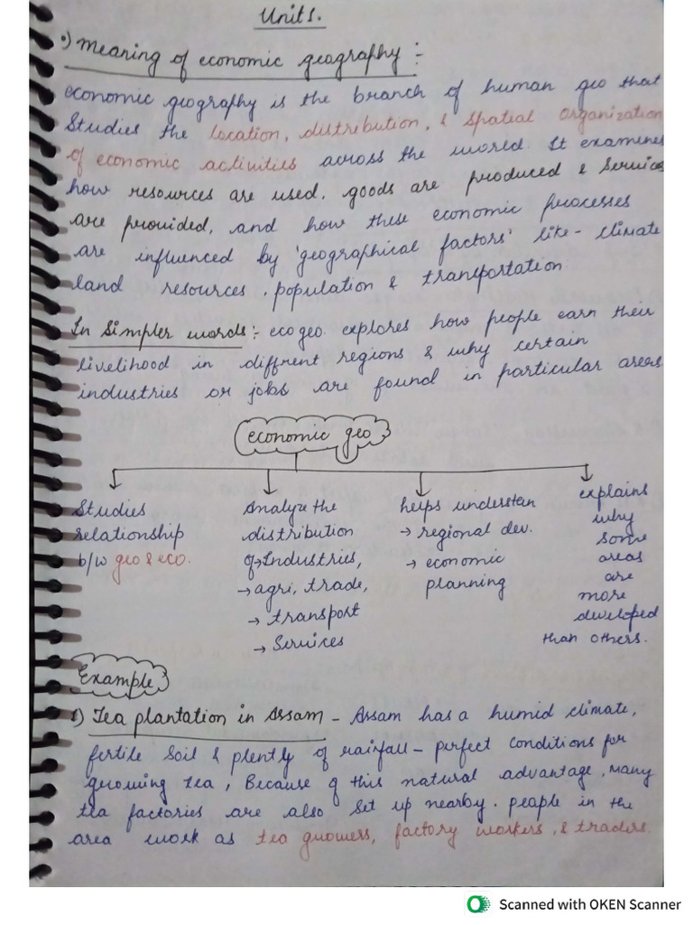 Economic Geography Sem 5 | PDF