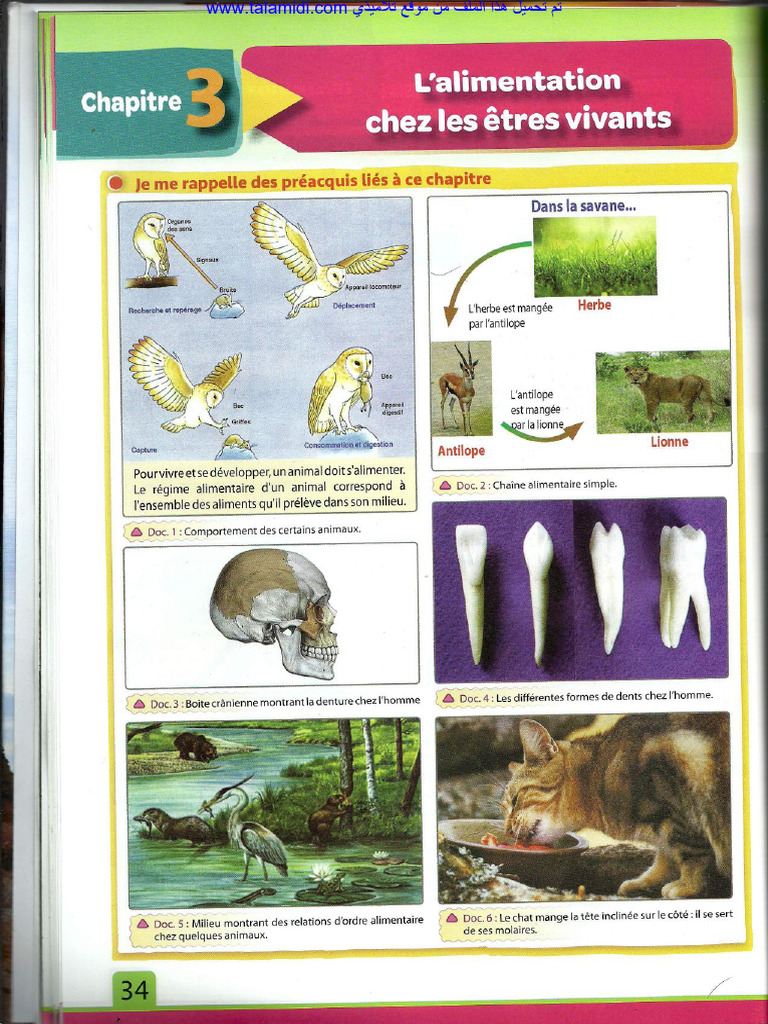 1AC SVT Cours 02 | PDF