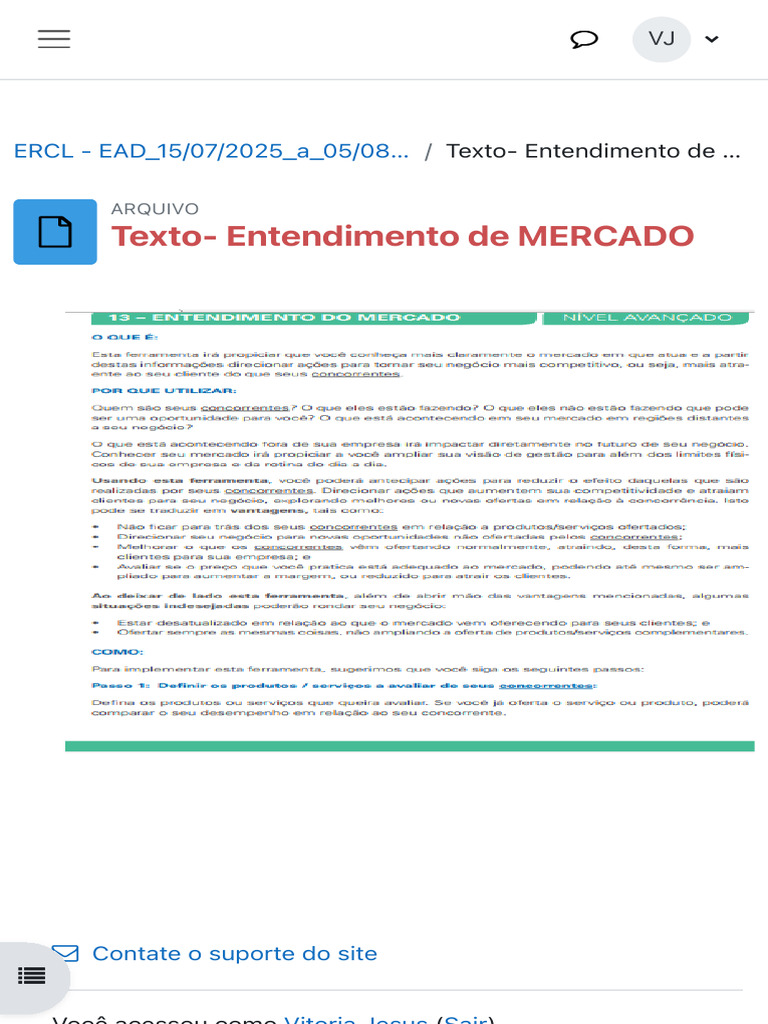 ERCL - EAD - 15072025 - A - 05082025 - 1 - 61 Texto - Entendimento de ...