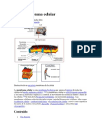 De La Membrana Celular