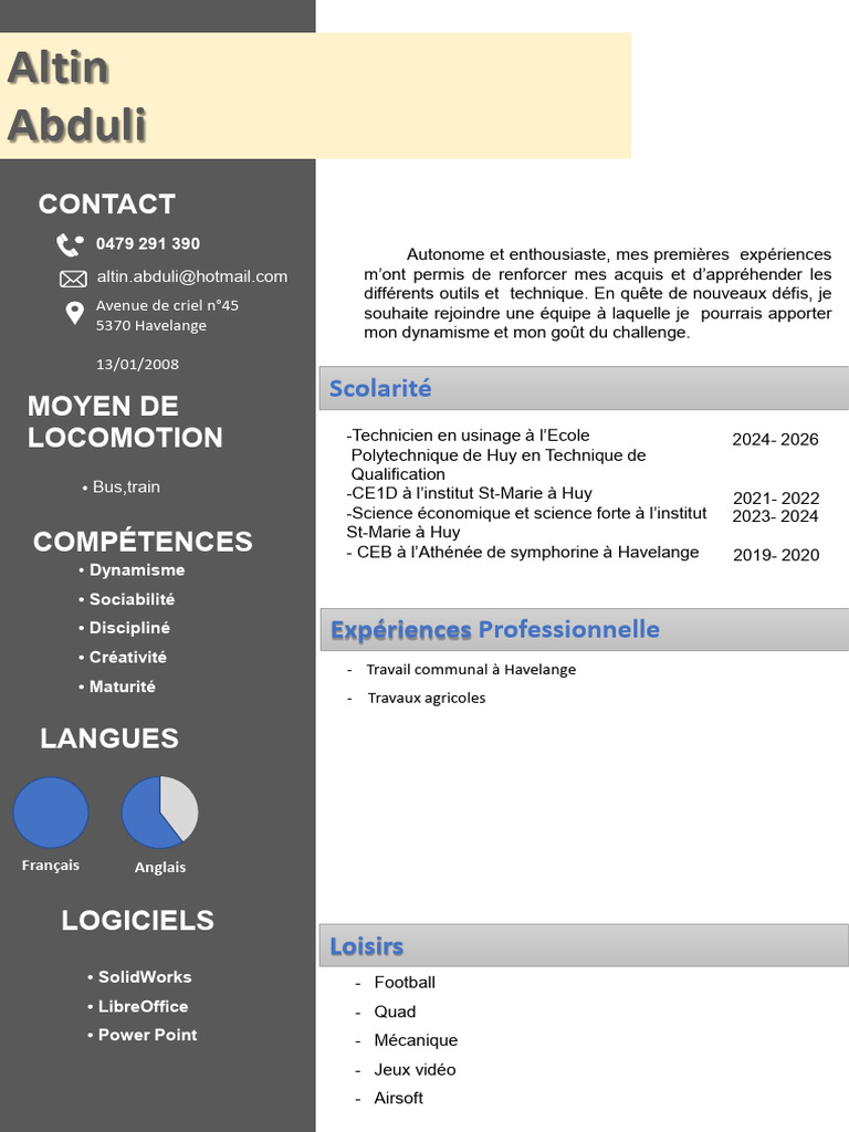 Profil dynamique et motivé d'Altin Abduli | PDF