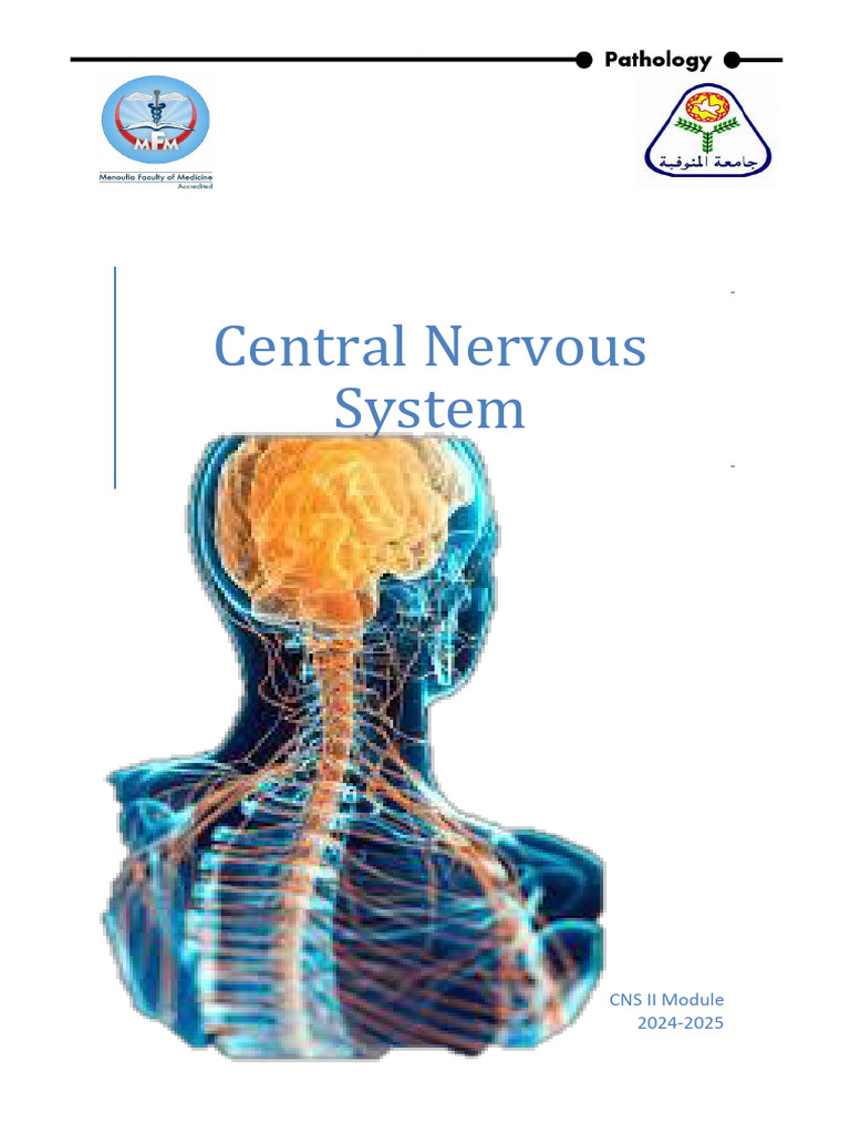 CNS Pathology Course Overview 2024-2025 | PDF | Diseases And Disorders ...