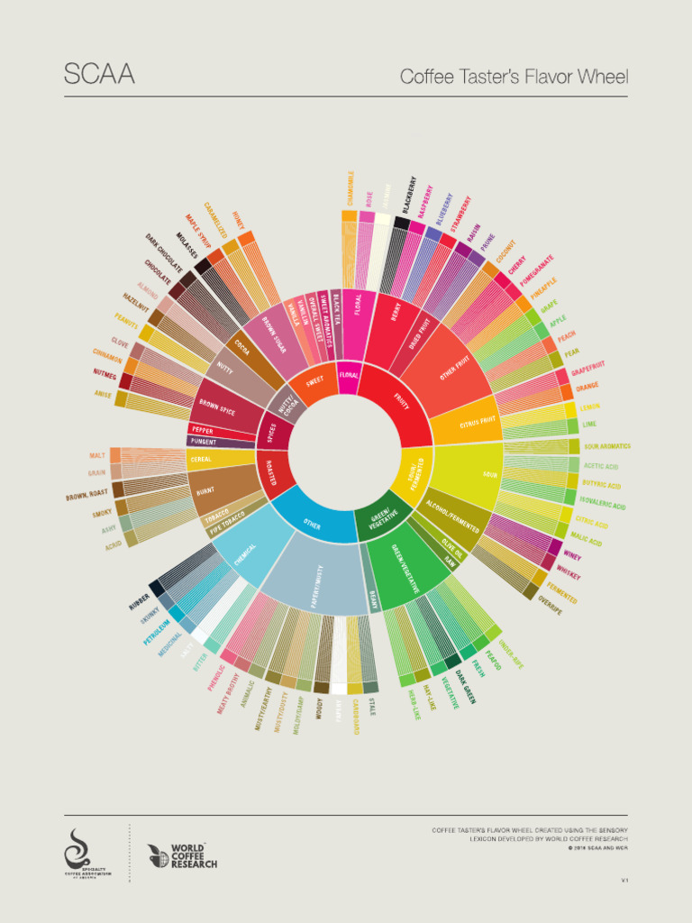 Sca Flavor Wheel | PDF