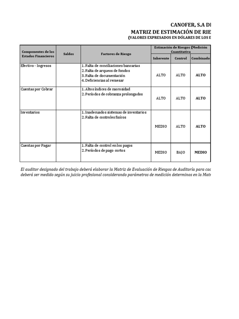 Matriz de Riesgos en Auditoría | PDF | Negocios