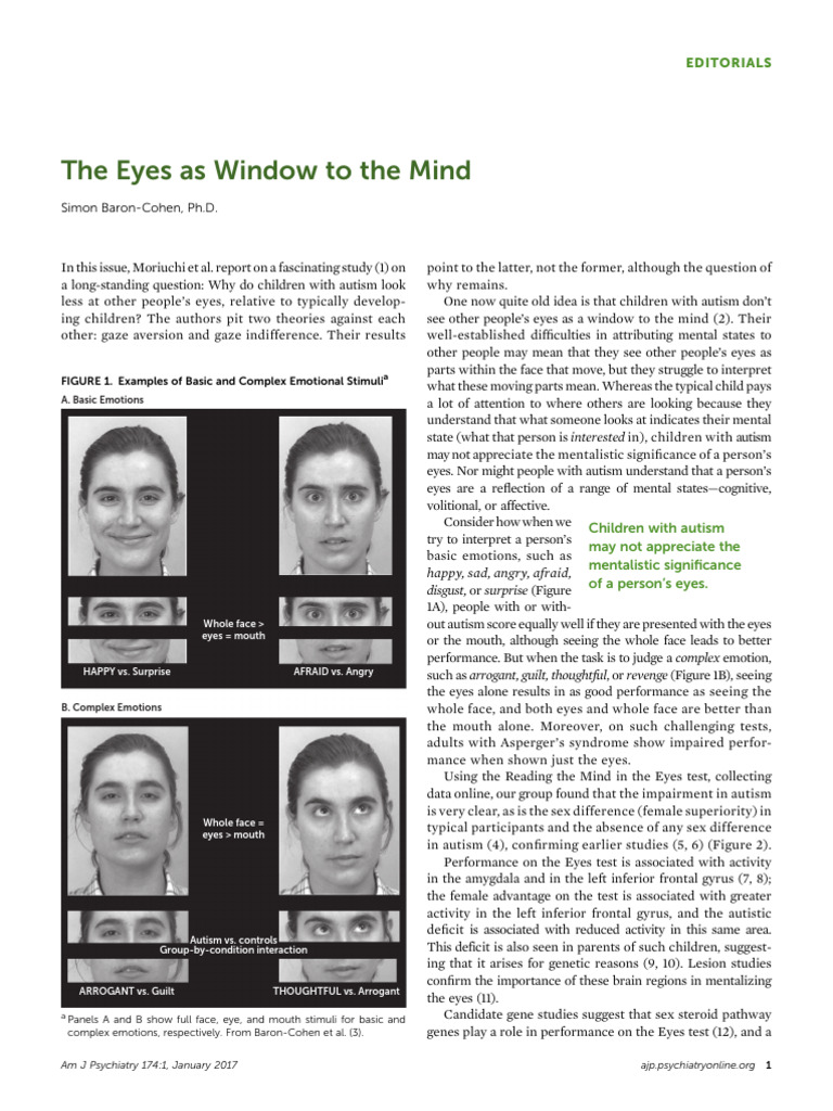 2017 SBC Eyes As Window To The Mind | PDF | Autism | Asperger Syndrome