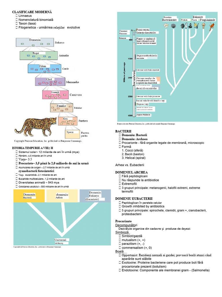 Upcat Taxonomy Reviewer | PDF
