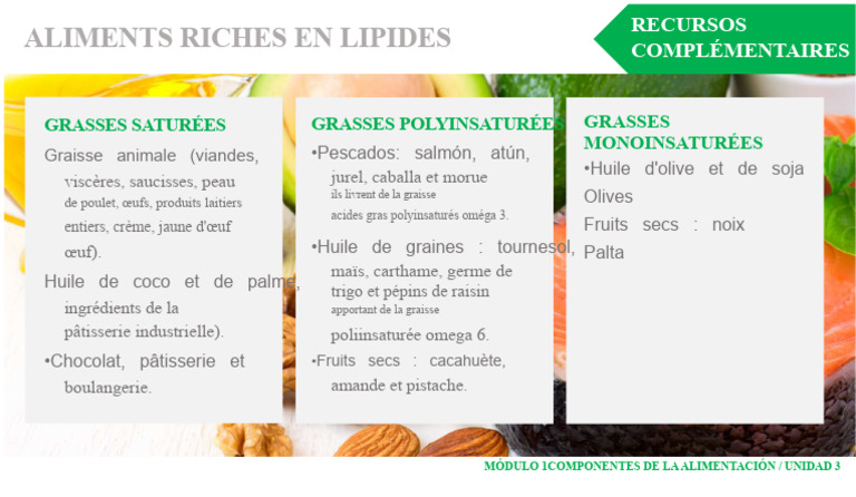 Aliments riches en lipides et graisses | PDF