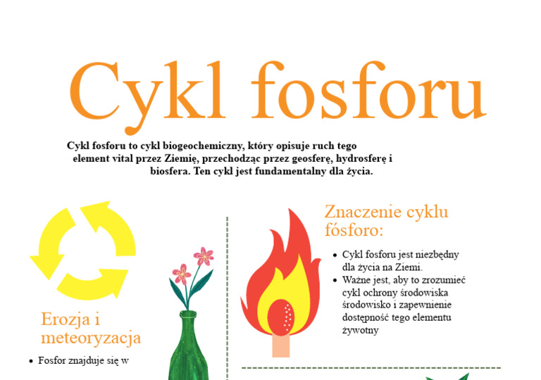 Cykl Fosforu | PDF
