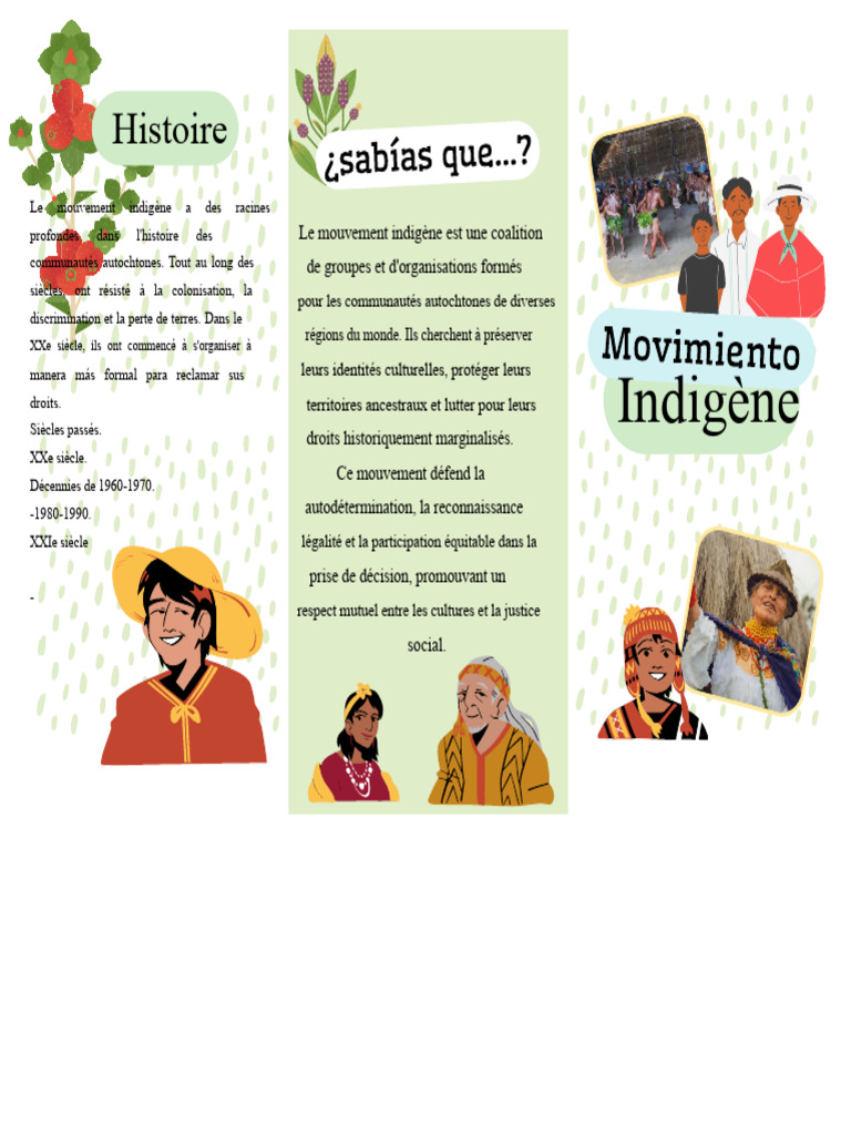 Mouvement indigène : histoire et enjeux | PDF | Droits de l'homme | Justice