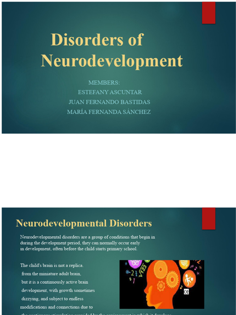 Understanding Neurodevelopmental Disorders | PDF | Mental Disorder ...