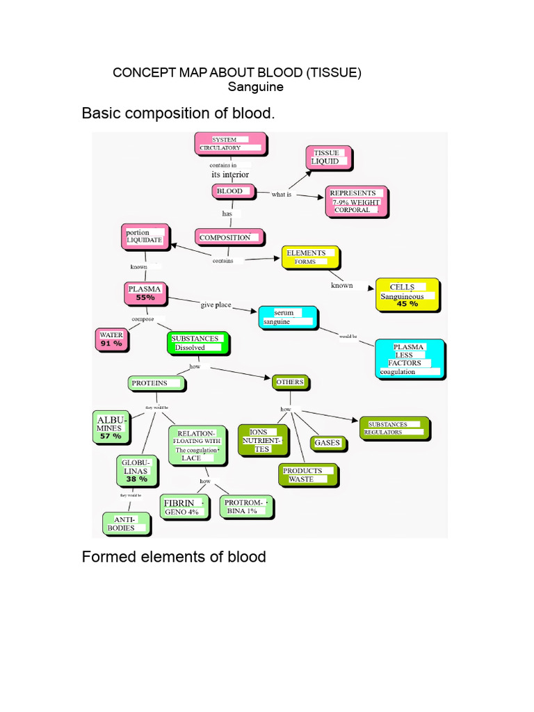 Conceptual Map About Blood Composition | PDF