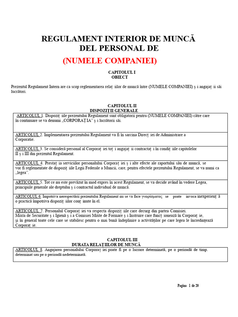 Format de Regulament Intern de Lucru | PDF