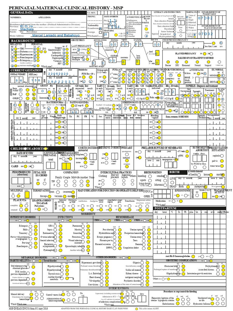 Perinatal Maternal Clinical History Form | PDF | Women's Health ...