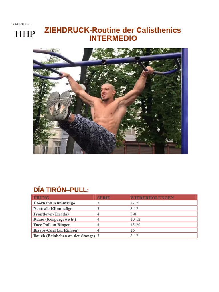 Calisthenics Pull Push Routine INTERM PDF | PDF