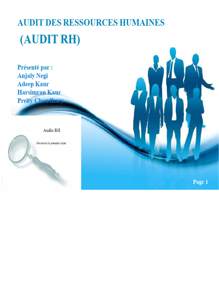 Audit des Ressources Humaines : Guide Complet | PDF | Gestion des ...