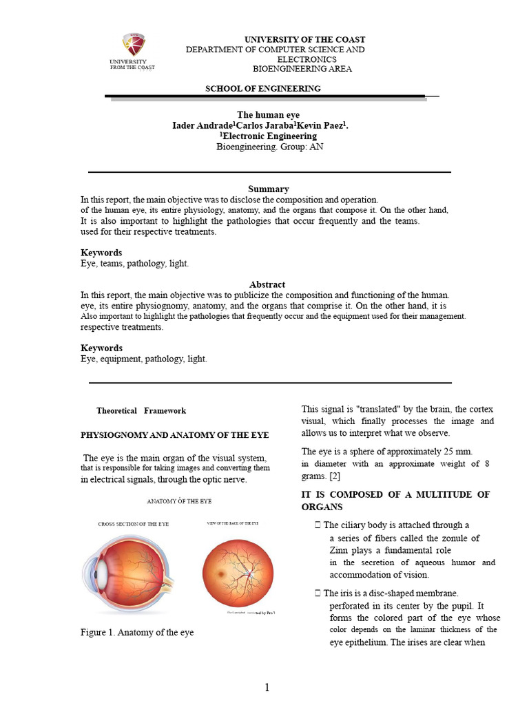 Anatomy and Pathologies of the Eye | PDF | Human Eye | Eye