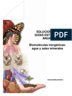 Solucionario Guía Biomoléculas Inorgánicas Agua y Sales Minerales