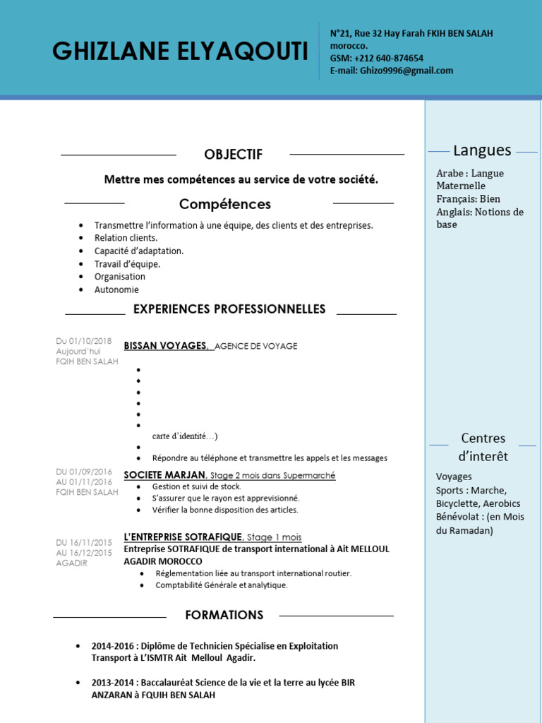 CV French | PDF
