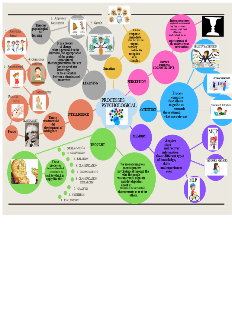 MENTAL MAP PSYCHOLOGICAL PROCESSES | PDF | Cognition | Perception