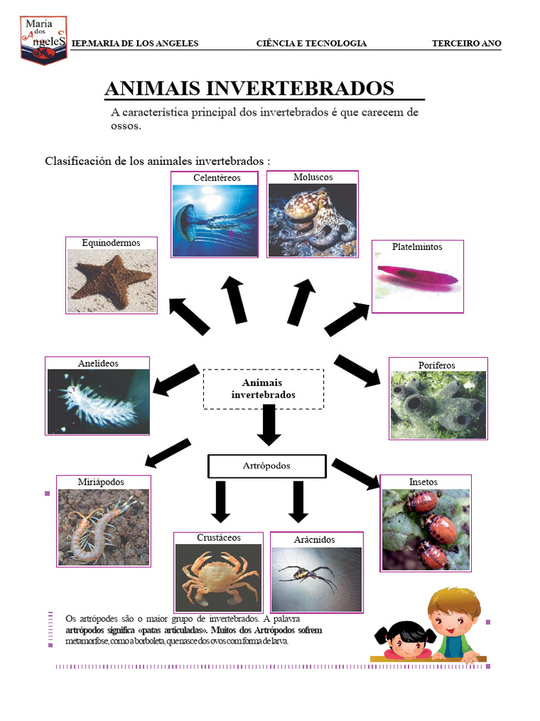 Animais Invertebrados e Vertebrados | PDF | Vertebrados | Invertebrado