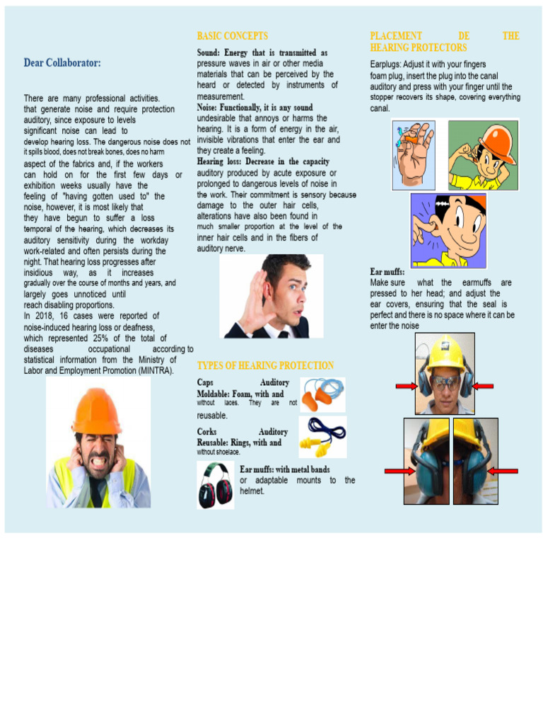 Hearing Protection Basics and Maintenance | PDF | Hearing | Noise