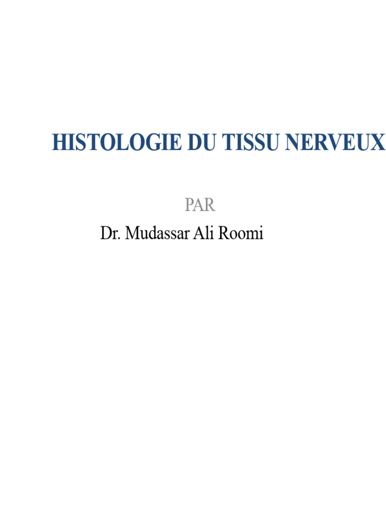 Histologie du Tissu Nerveux: Neurones et Glies | PDF | Neurone ...