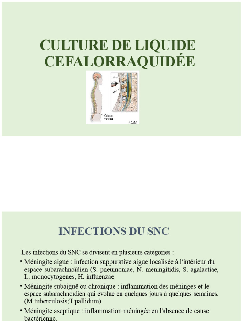 Infections SNC : Culture et Analyse LCR | PDF | Liquide cérébro-spinal ...