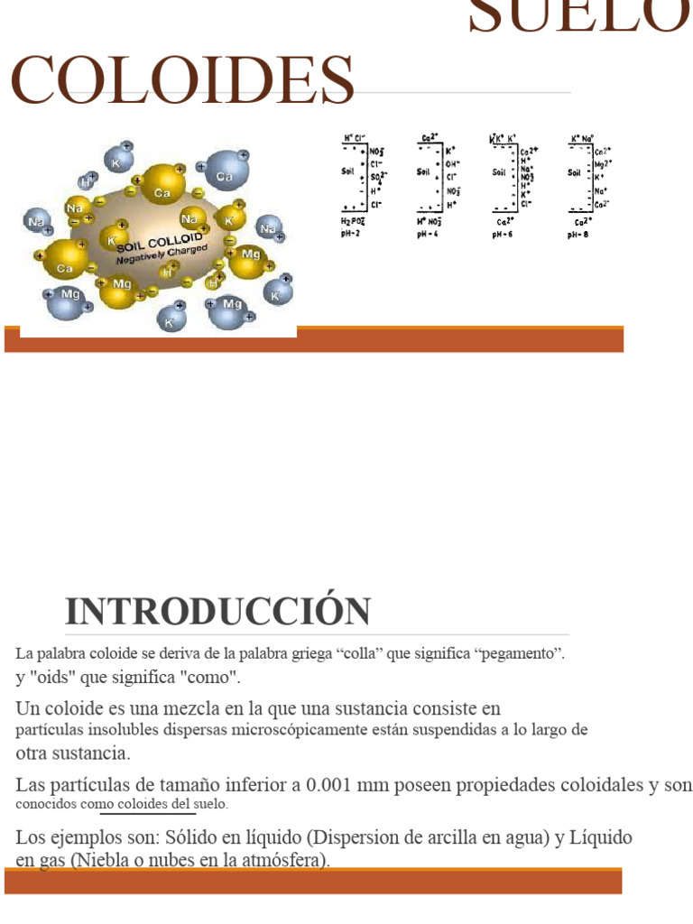 Coloides Del Suelo | PDF | Coloide | Arcilla