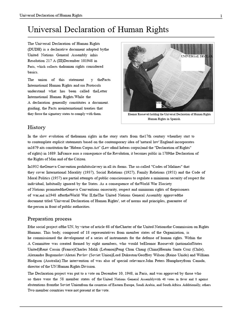 Universal Declaration of Human Rights Overview | PDF | Human Rights ...