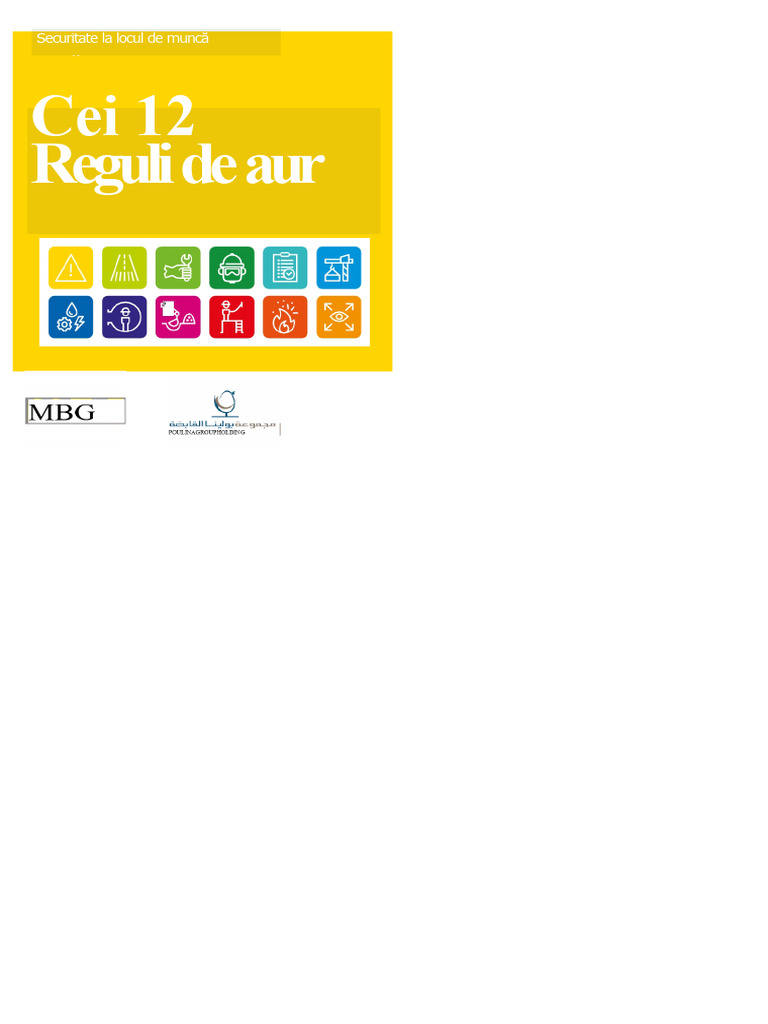 Cele 12 Reguli de Siguranță | PDF