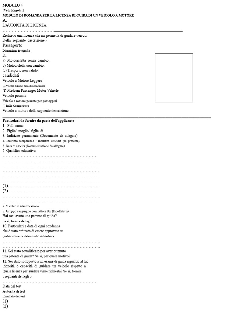Modulo Per La Patente Di Guida | PDF