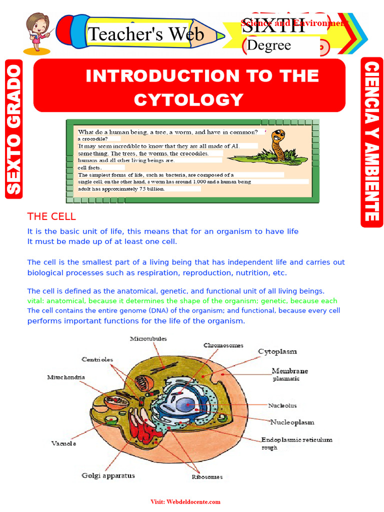 Introduction to Cell Biology Basics | PDF | Cell (Biology) | Cell Biology