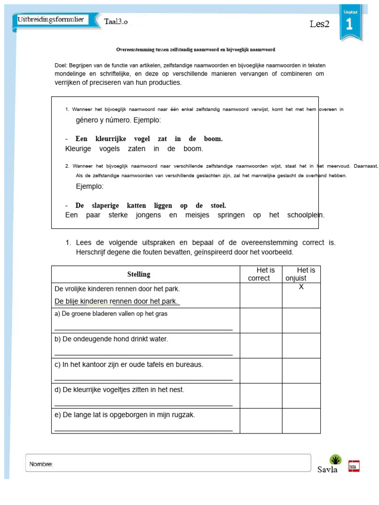 Overeenstemming Tussen Zelfstandig Naamwoord en Bijvoeglijk Naamwoord | PDF