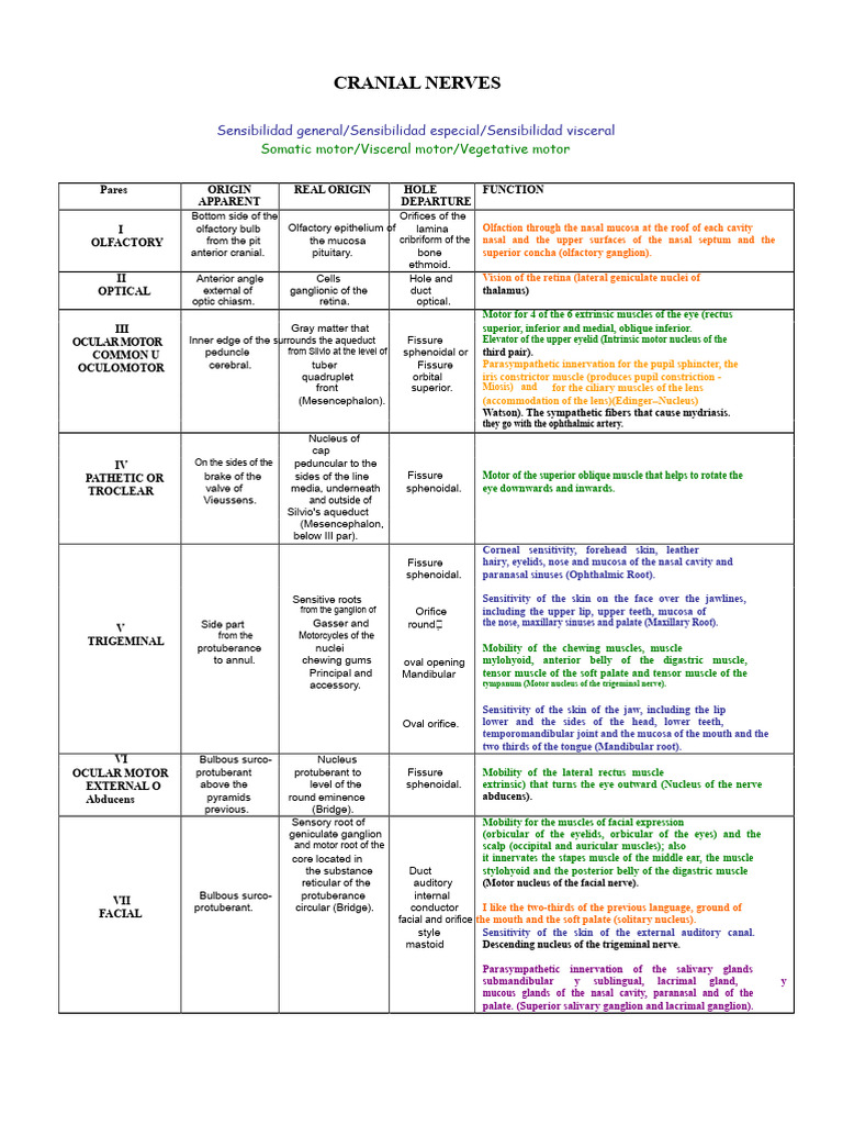 Overview of Cranial Nerves Functions | PDF | Human Head And Neck ...