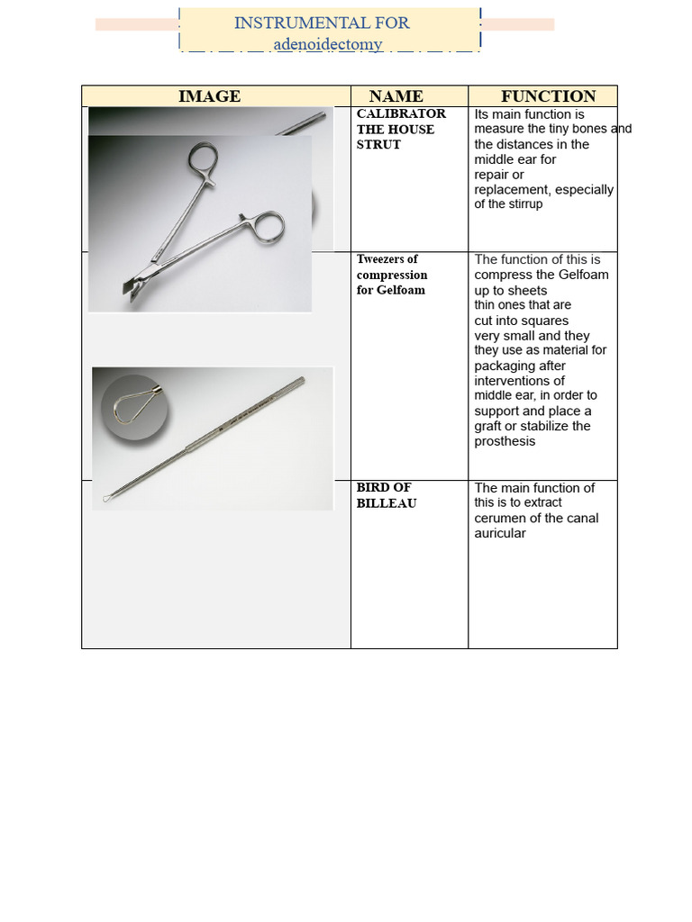 Essential Instruments for Ear Surgery | PDF | Ear | Human Anatomy