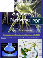 06 Sinapses e Neurotransmisores