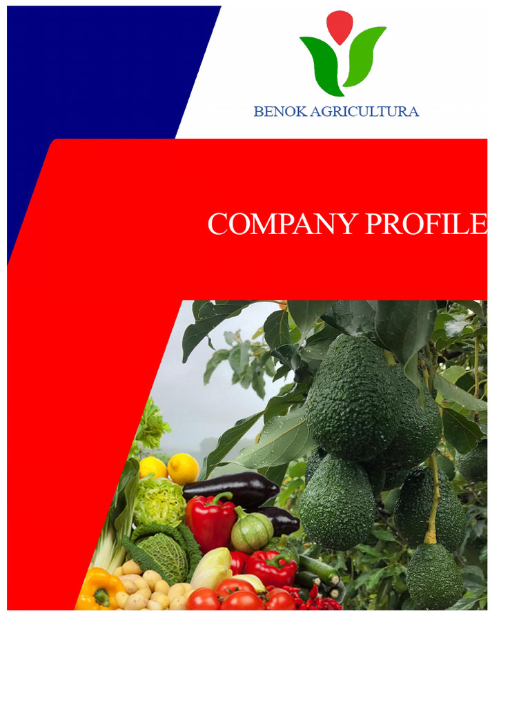 Profilul Companiei | PDF