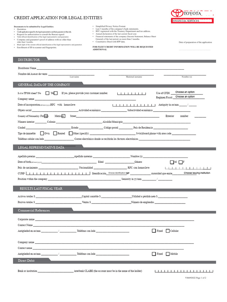 Legal Entity Credit Application Form | PDF | Identity Document