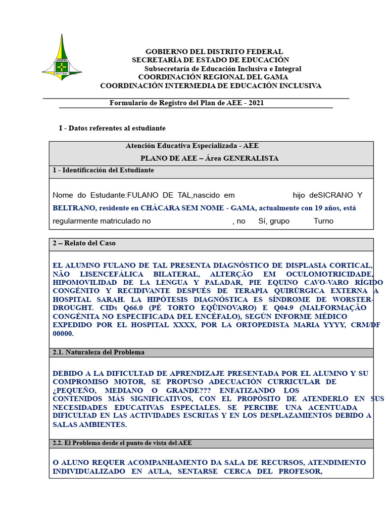 Plan de AEE para Estudiante con Discapacidad | PDF | Maestros | Aprendizaje