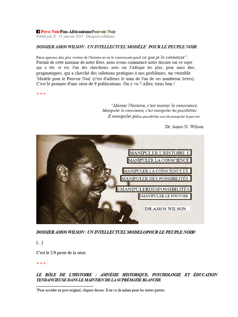 Amos Wilson : Histoire et Pouvoir Noir | PDF | Psychologie | Physique